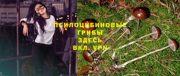 эйфоретик Пролетарск