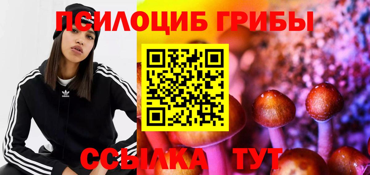 Псилоцибиновые грибы GOLDEN TEACHER  Вход с VPN  Фролово  Галлюциногенные грибы мухоморы 