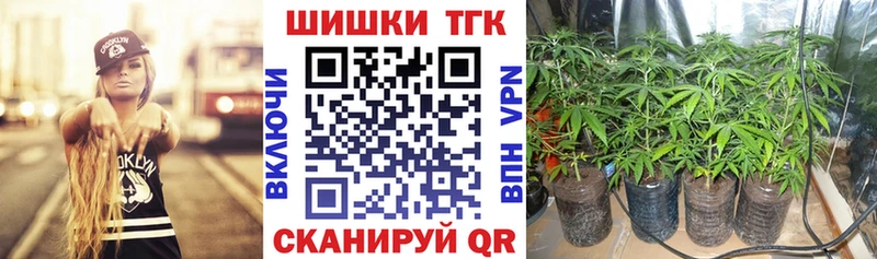 Шишки марихуана планчик  купить закладку  Фролово 